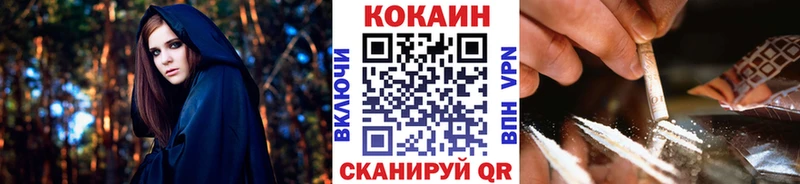 COCAIN Fish Scale  omg ссылка  Кировск 