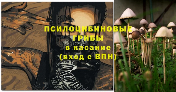 амф Балахна