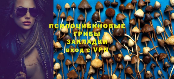 амф Балахна