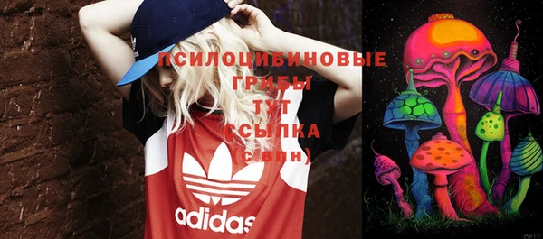амф Балахна