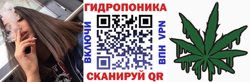 сайты даркнета какой сайт  Кировск  Канабис Bruce Banner 